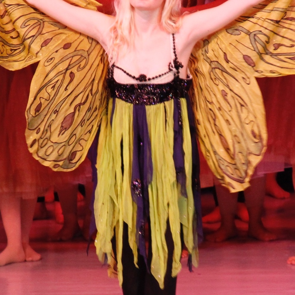 Rare Tirelli Costumi - Butterfly Costume (Fragile,Worn) Lyric Opera of ChicagoXS